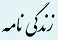 زندگی نامه